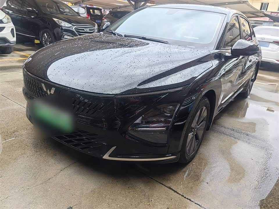 Wuling Wuling Starlight