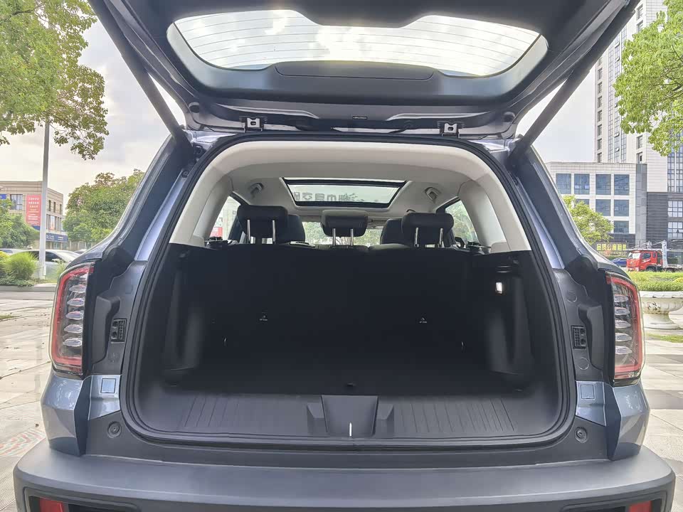 Haval Big dog