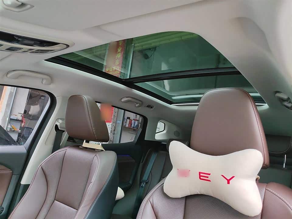 Weipai VV6