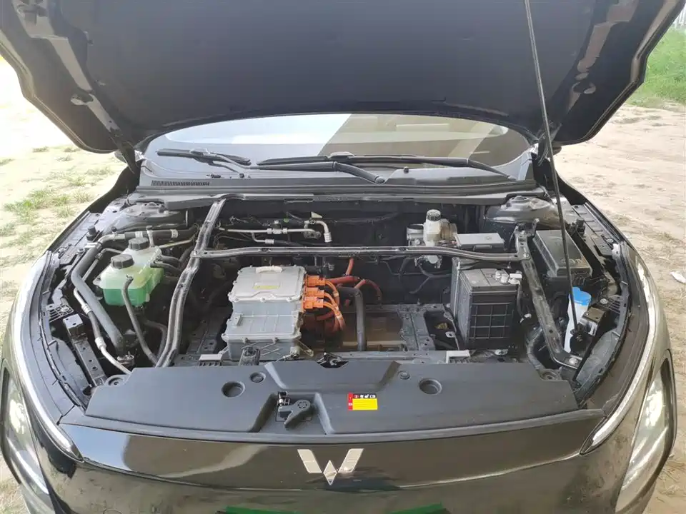 Wuling Wuling Starlight