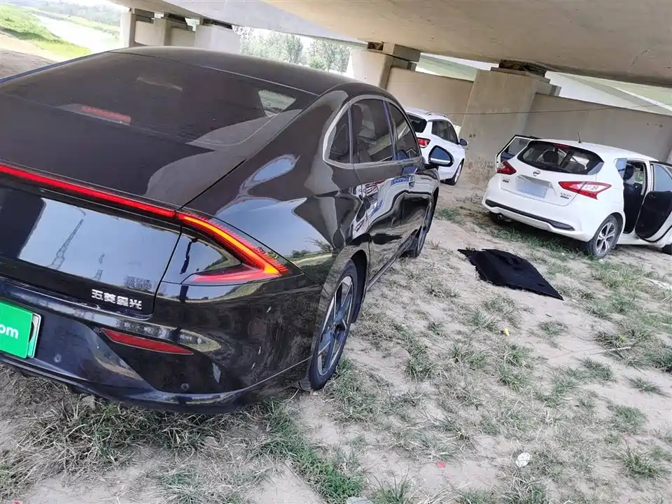 Wuling Wuling Starlight