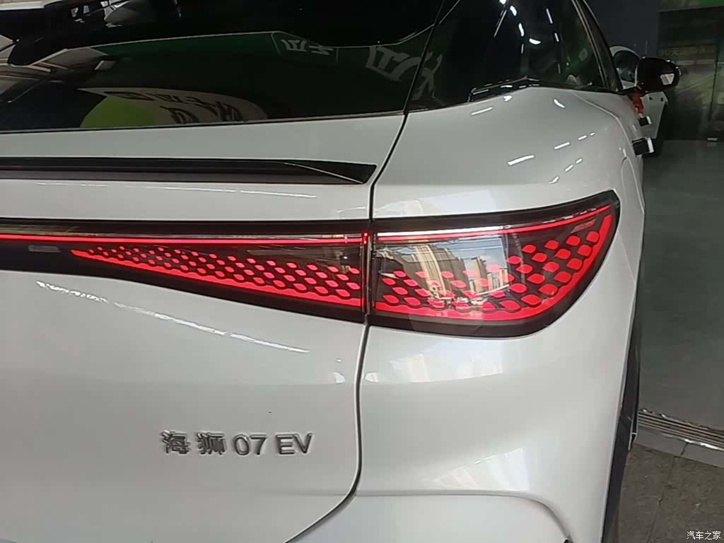 BYD HiAce, 2024 8