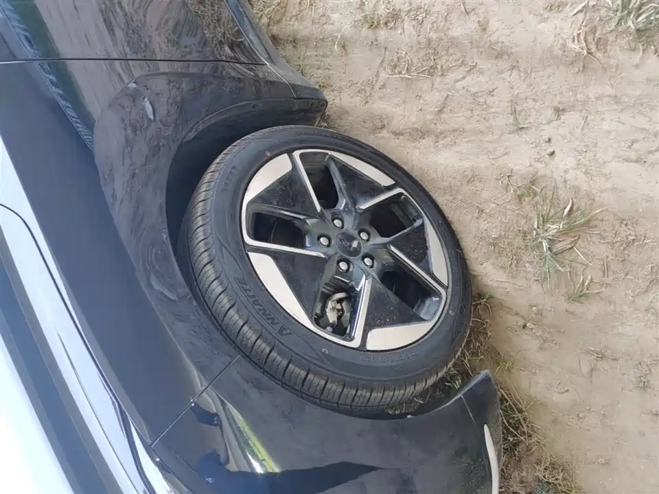 Wuling Wuling Starlight