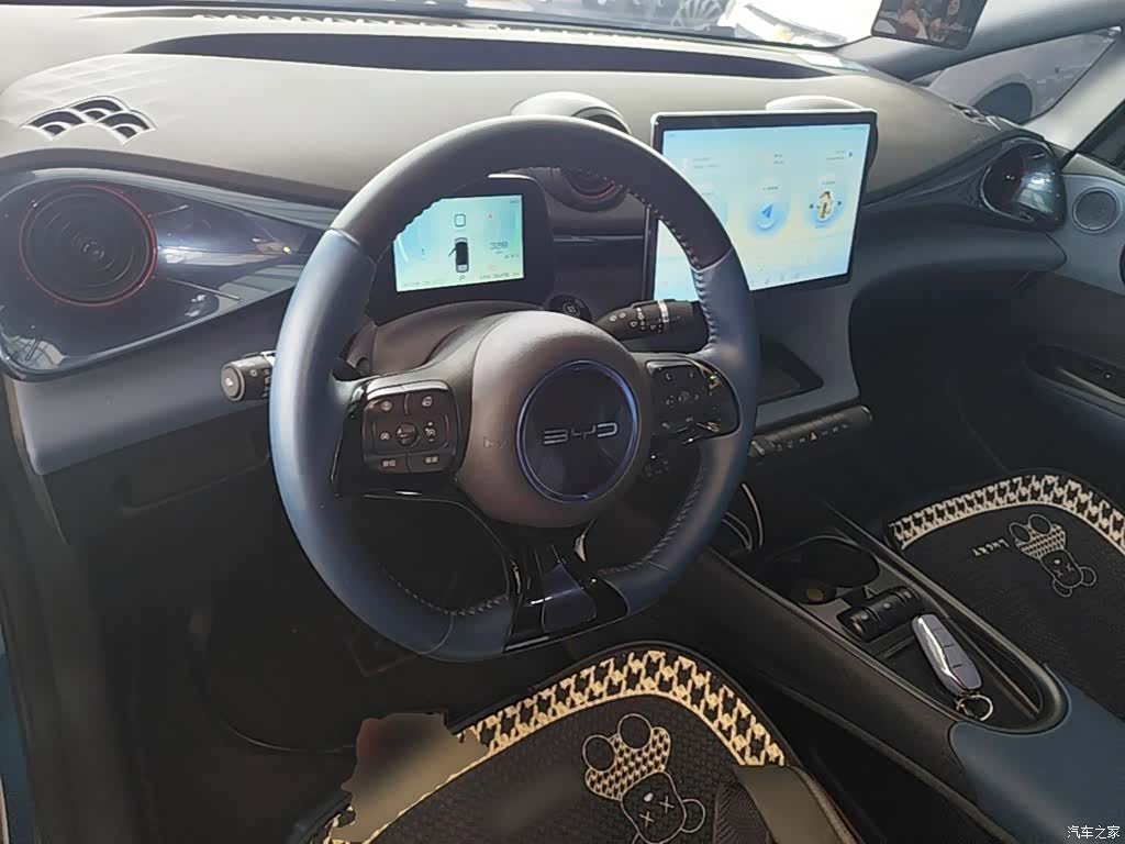 BYD Dolphin, 2023 10