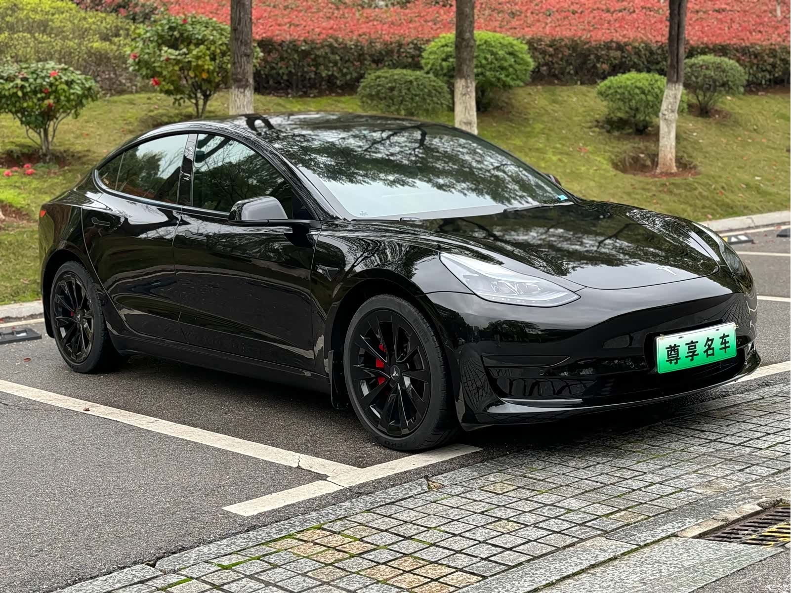 Tesla Model 3, 2023 3