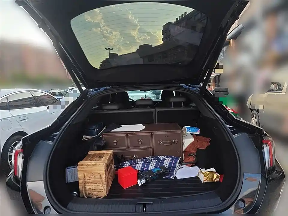 ARCFOX Polar Fox Alpha S