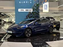 Model 3(����) 2019�� ������������