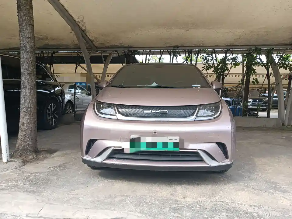 BYD dolphin
