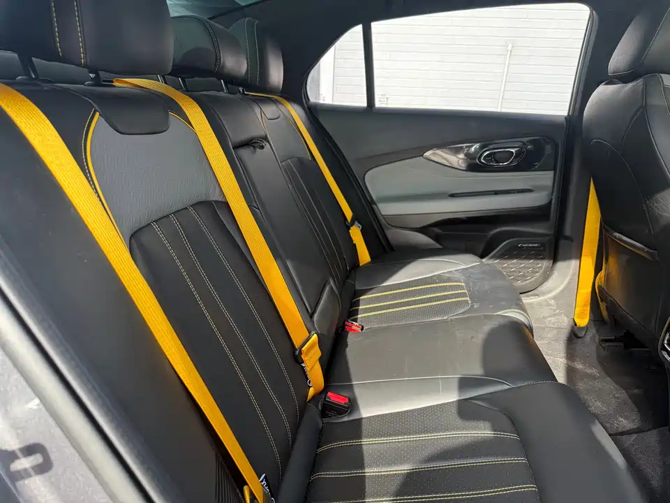 Trumpchi Shadow Leopard