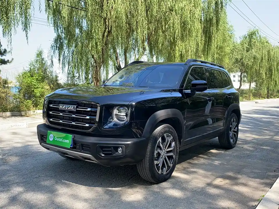 Haval Big dog