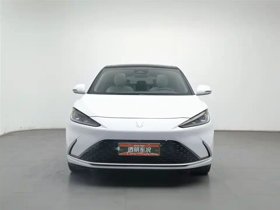 ARCFOX Polar Fox Alpha S