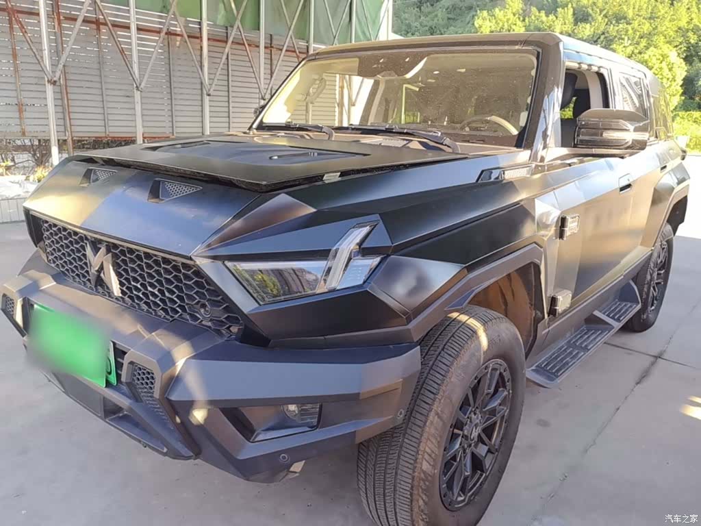Mengshi 917, 2024 2