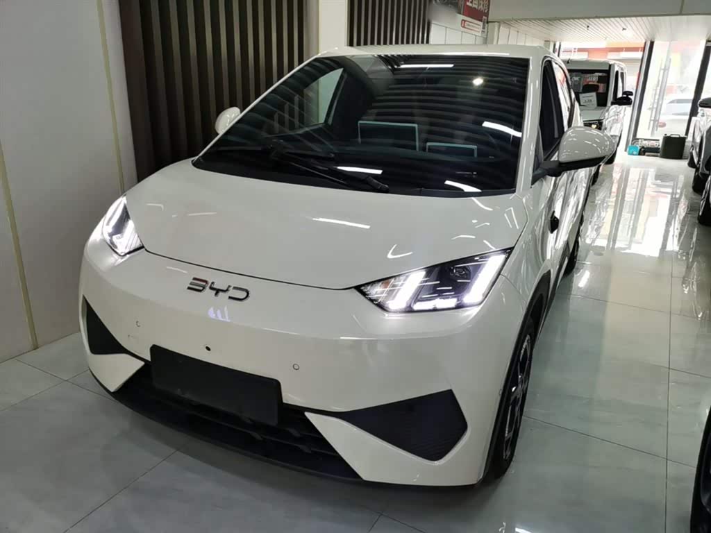 BYD Seagull