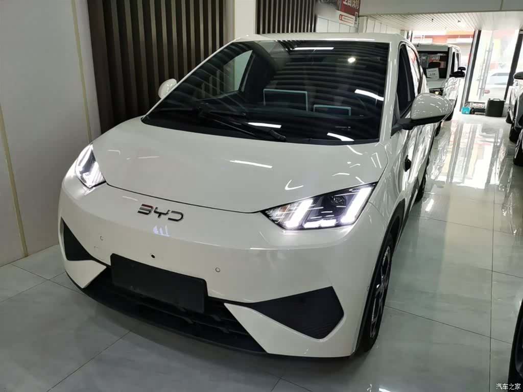 BYD Seagull, 2025 1