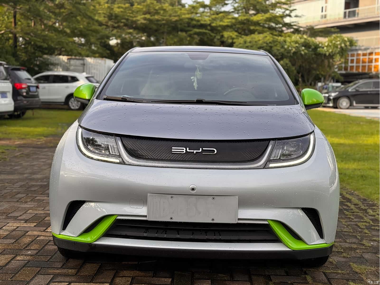 BYD Dolphin, 2022 2