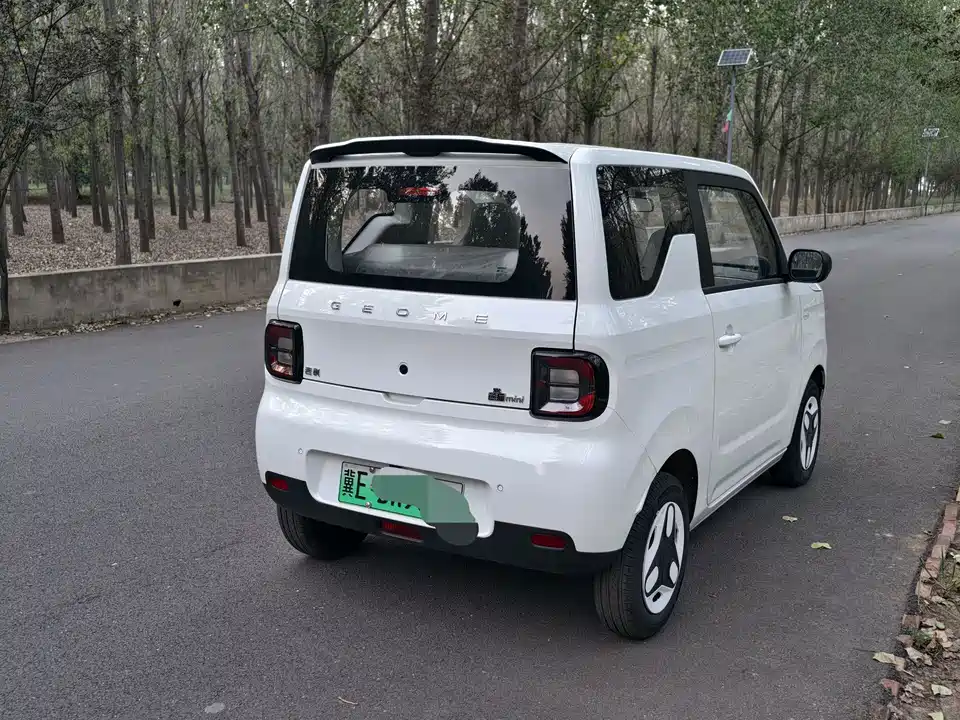 Geely Galaxy panda