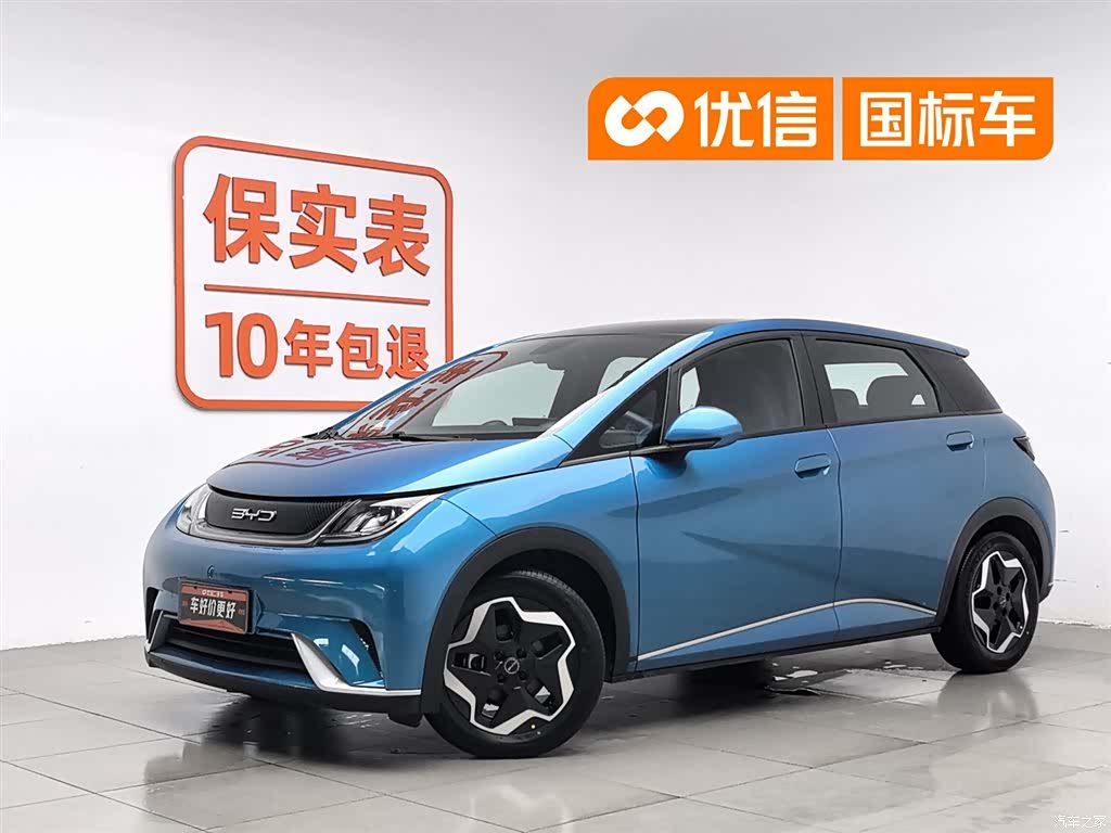 BYD Dolphin, 2022 1