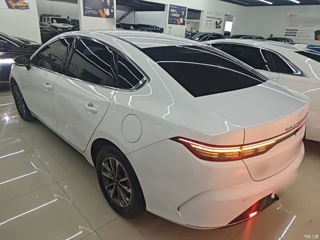 BYD Destroyer 05, 2025 все фото