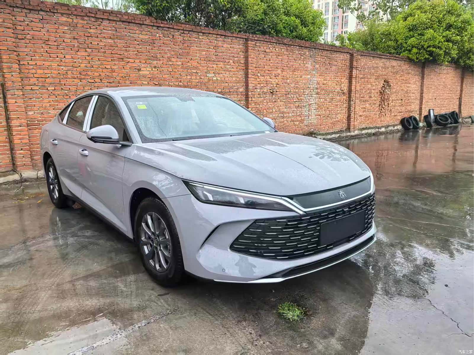 BYD Qin, 2026 10