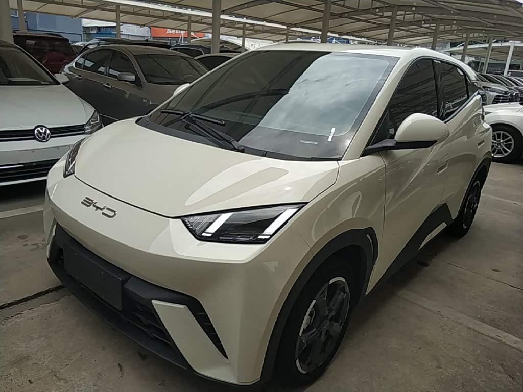 BYD Seagull