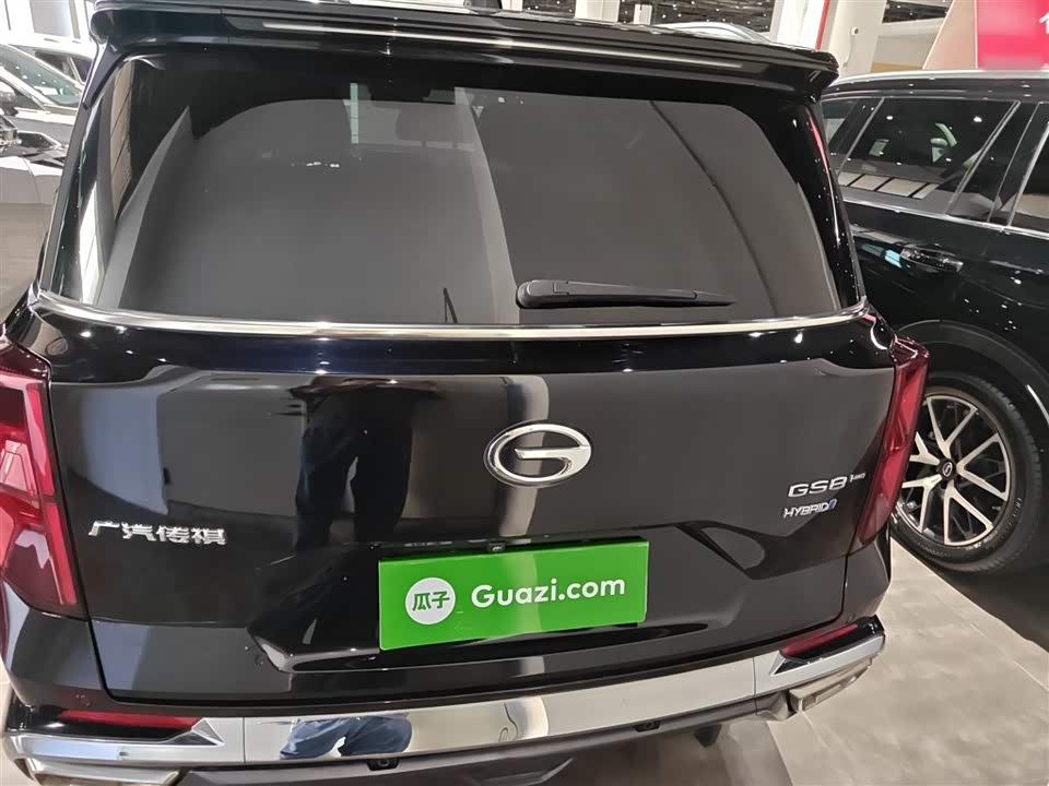 Trumpchi Trumpchi GS8