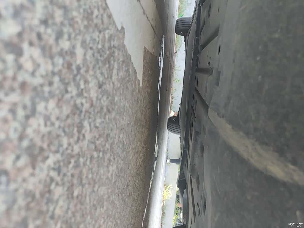 BYD Dolphin, 2025 24