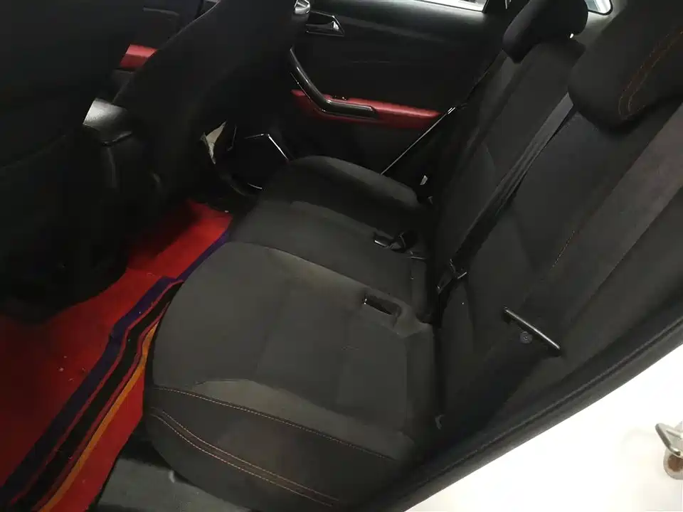 Leopaard Cheetah CS9