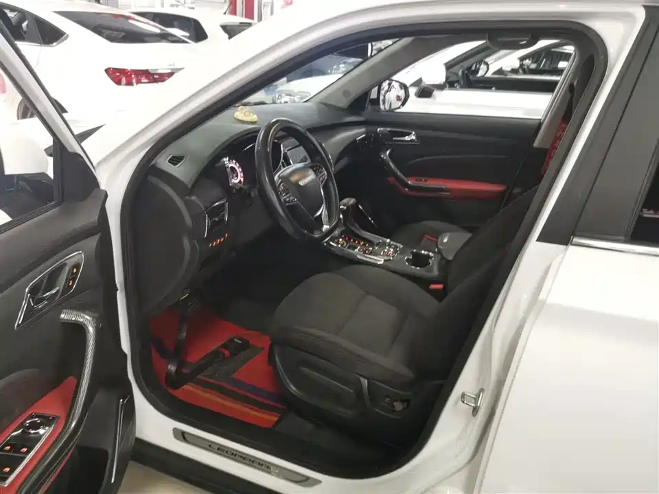 Leopaard Cheetah CS9