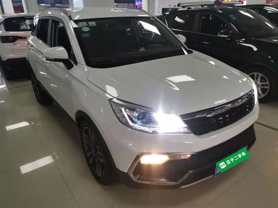 Leopaard Cheetah CS9