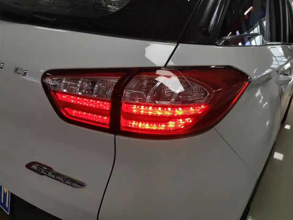 Leopaard Cheetah CS9