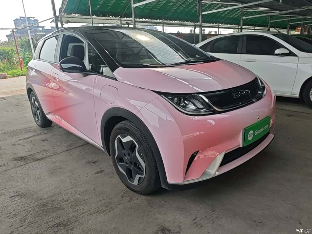 BYD Dolphin, 2022 4