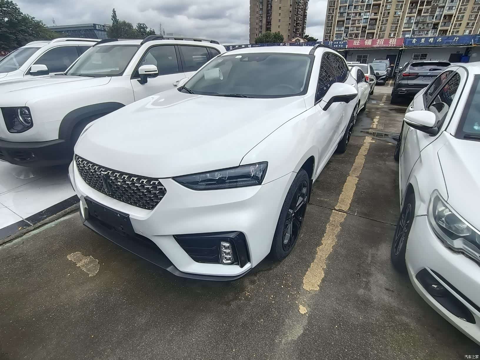 WEY VV7, 2019 1