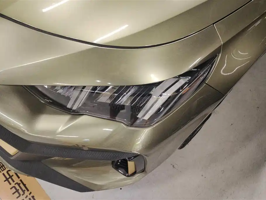 Trumpchi Shadow Leopard