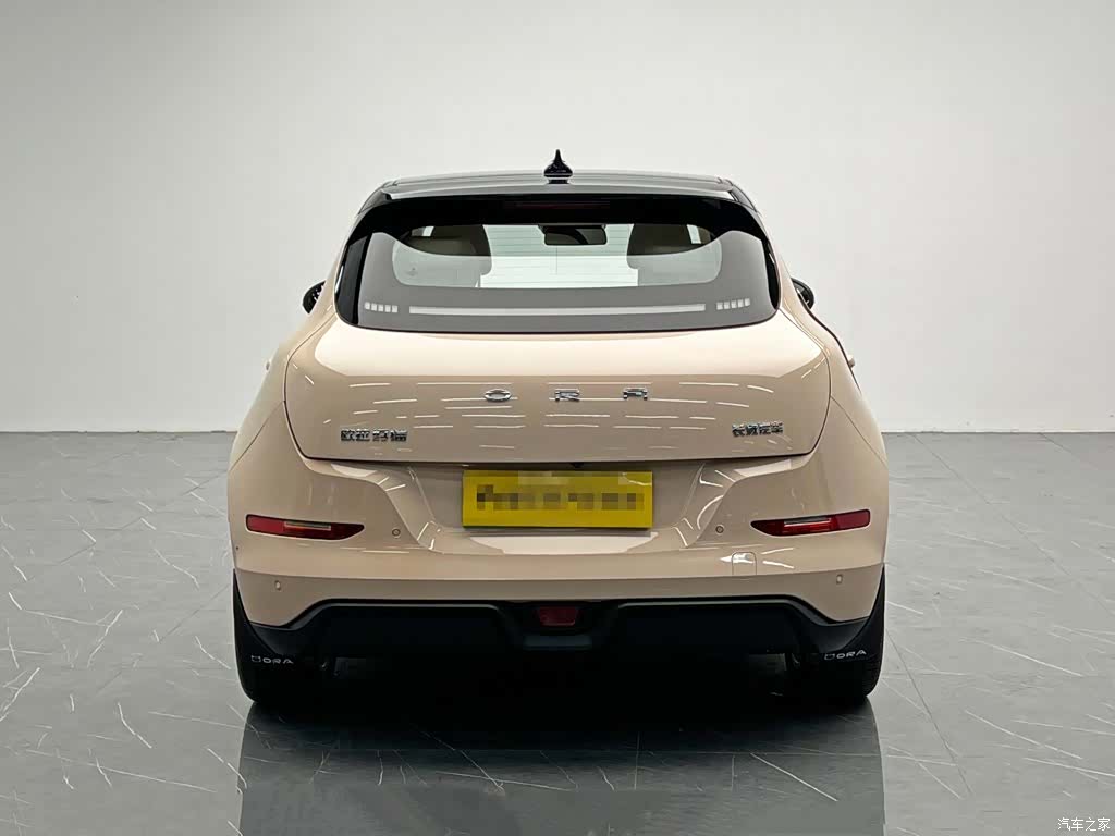 ORA Good Cat, 2024 все фото