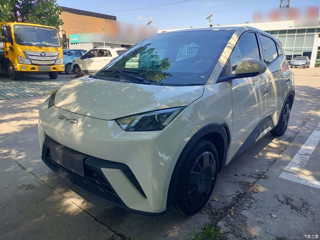 BYD Seagull, 2024 1
