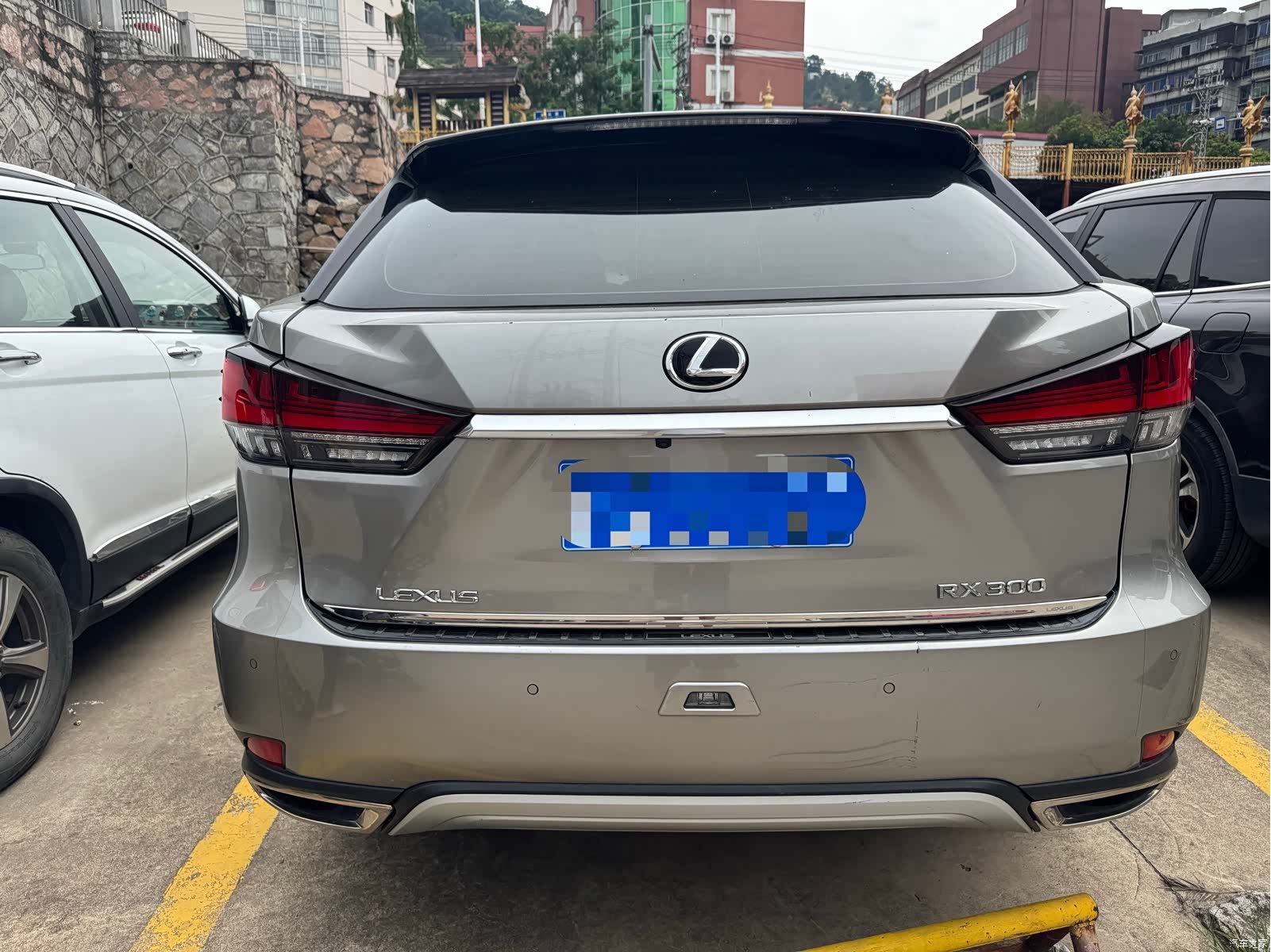 Lexus RX, 2022 все фото