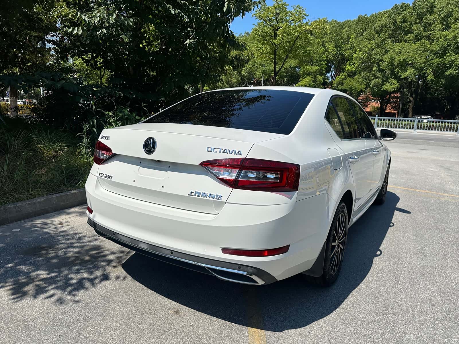 Skoda Octavia, 2017 все фото