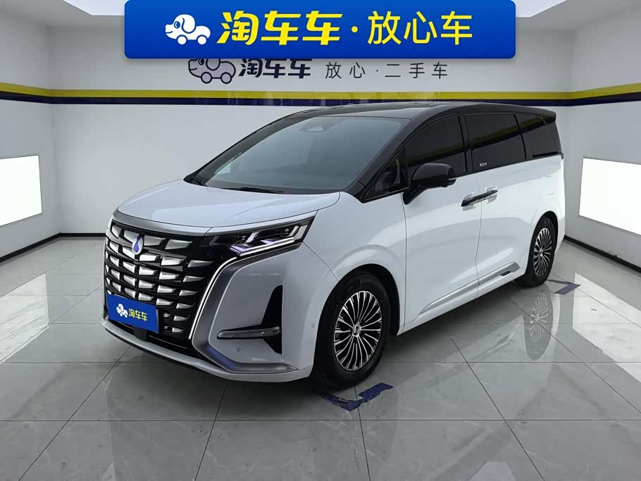 Denza D9