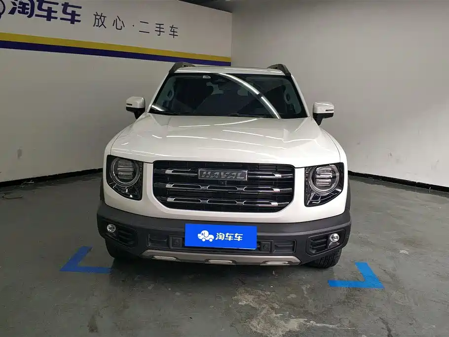 Haval Big dog