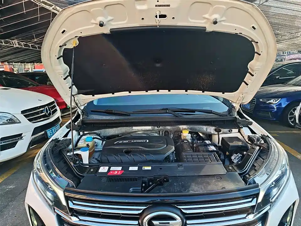 Trumpchi Trumpchi GS4