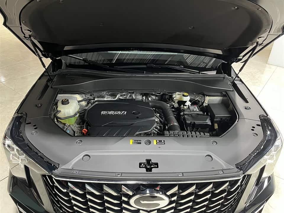 Trumpchi Trumpchi GS8