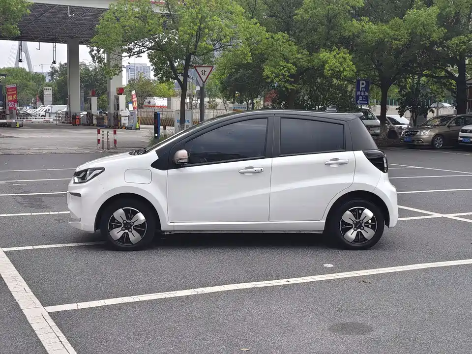 JAC Yttrium is a flower fairy