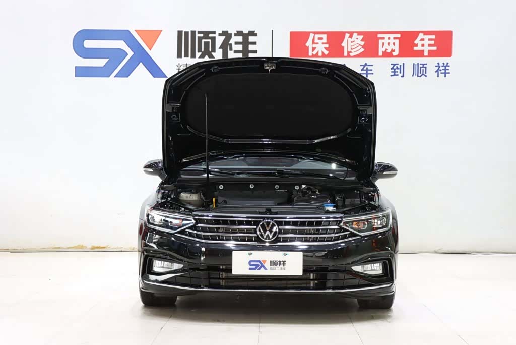 Volkswagen Magotan, 2023 18