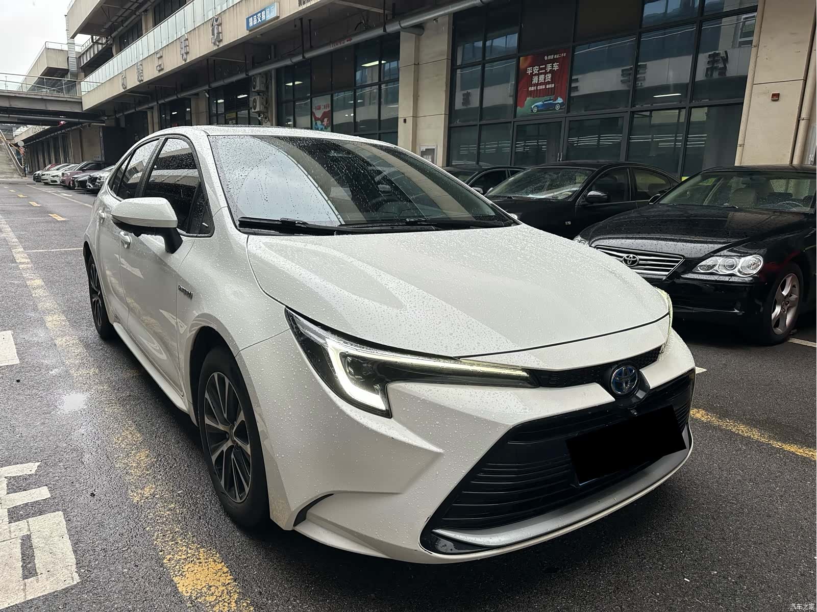 Toyota Levin, 2024 3