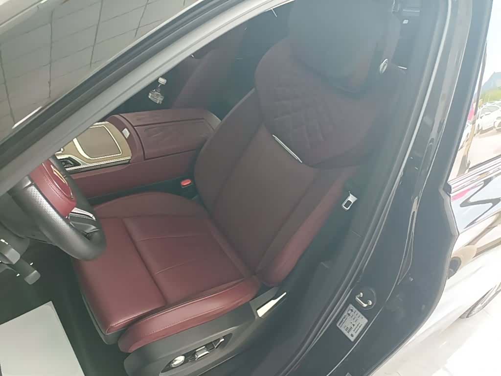 Hongqi E-HS9, 2023 15