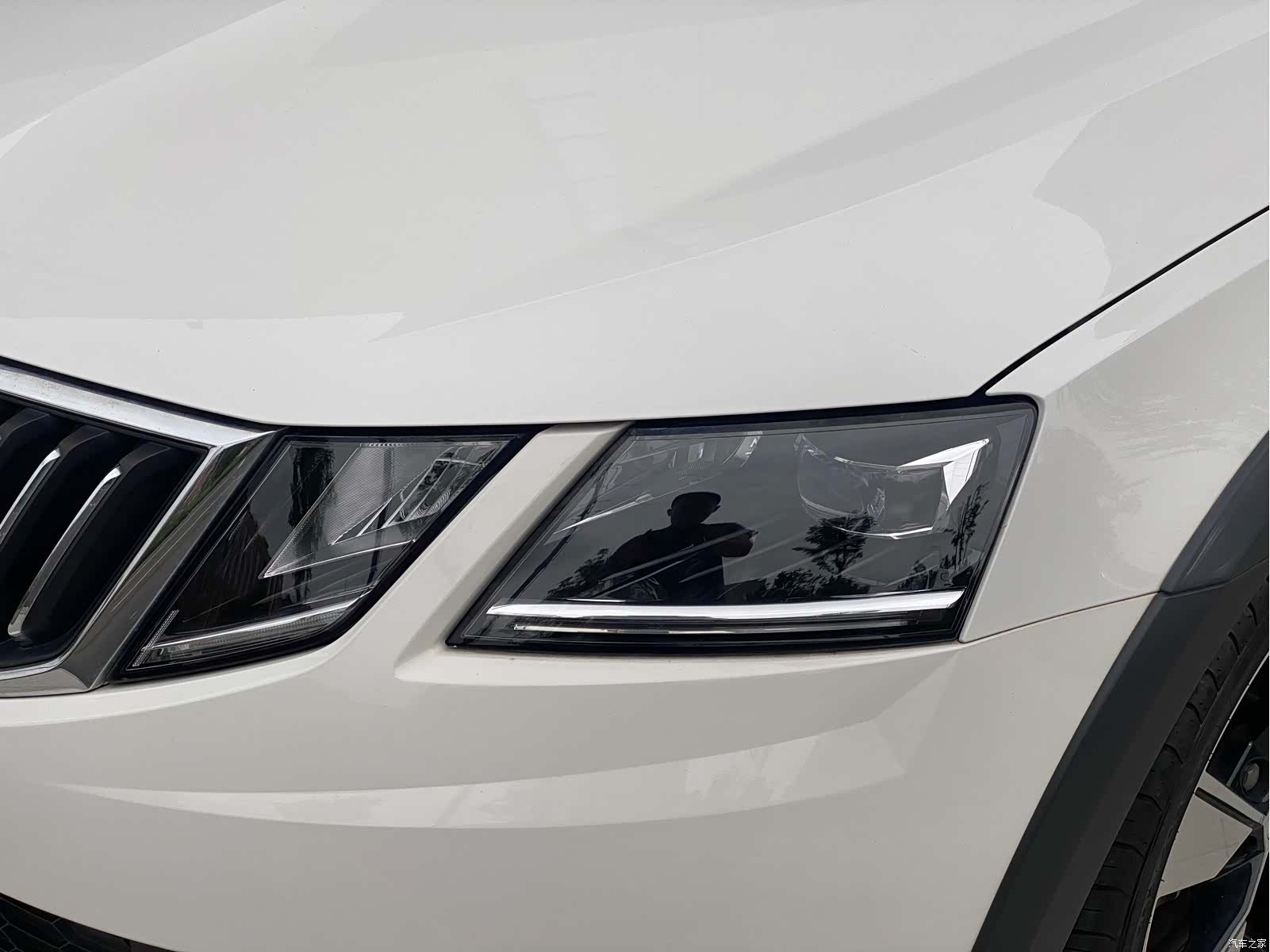 Skoda Octavia, 2020 10