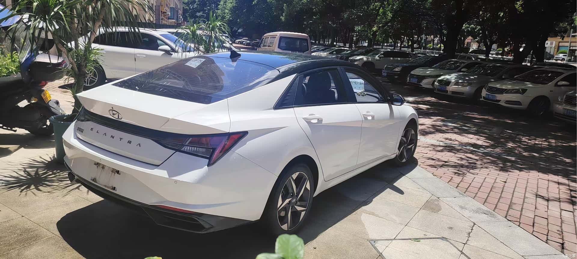 Hyundai Elantra, 2022 7