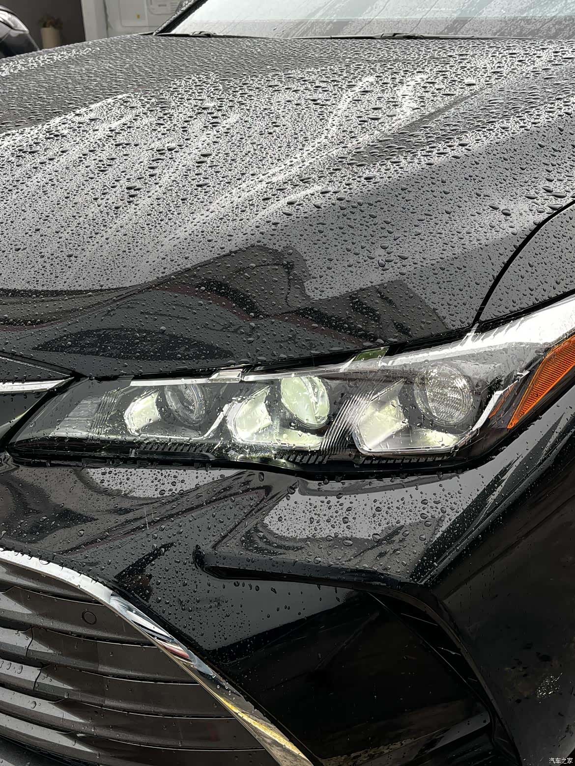Toyota Avalon, 2021 11
