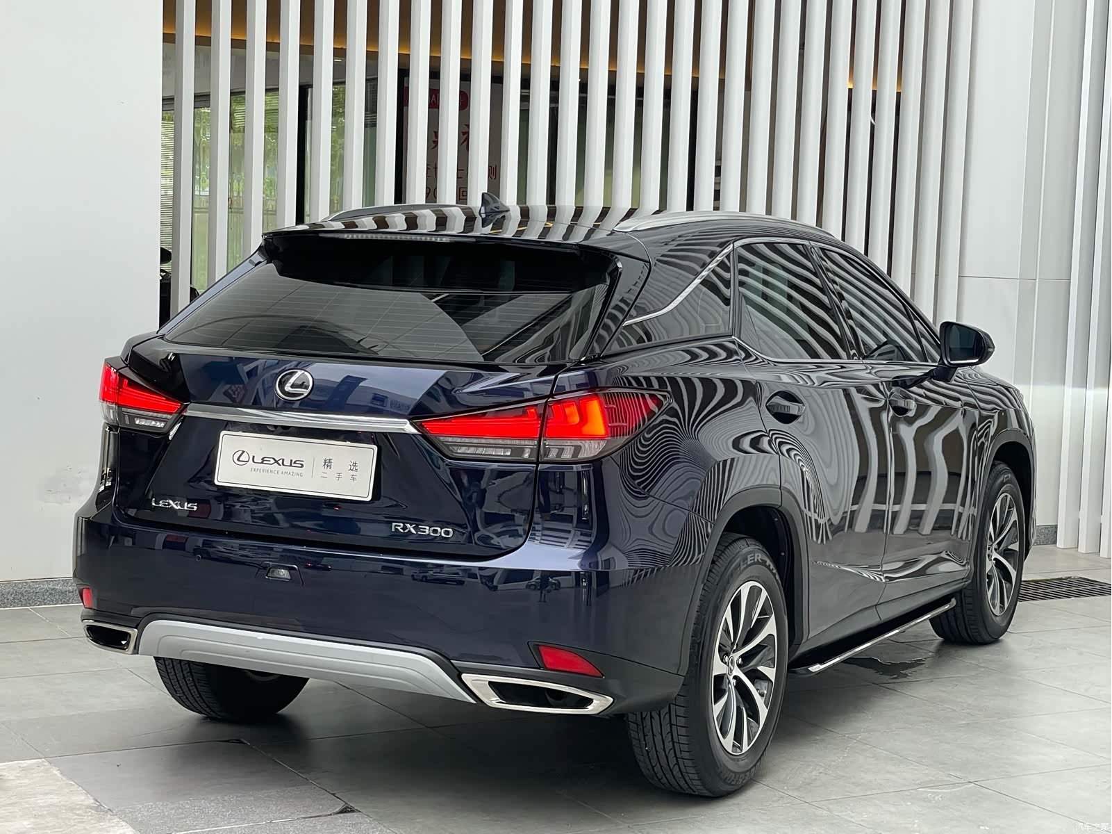 Lexus RX, 2021 10
