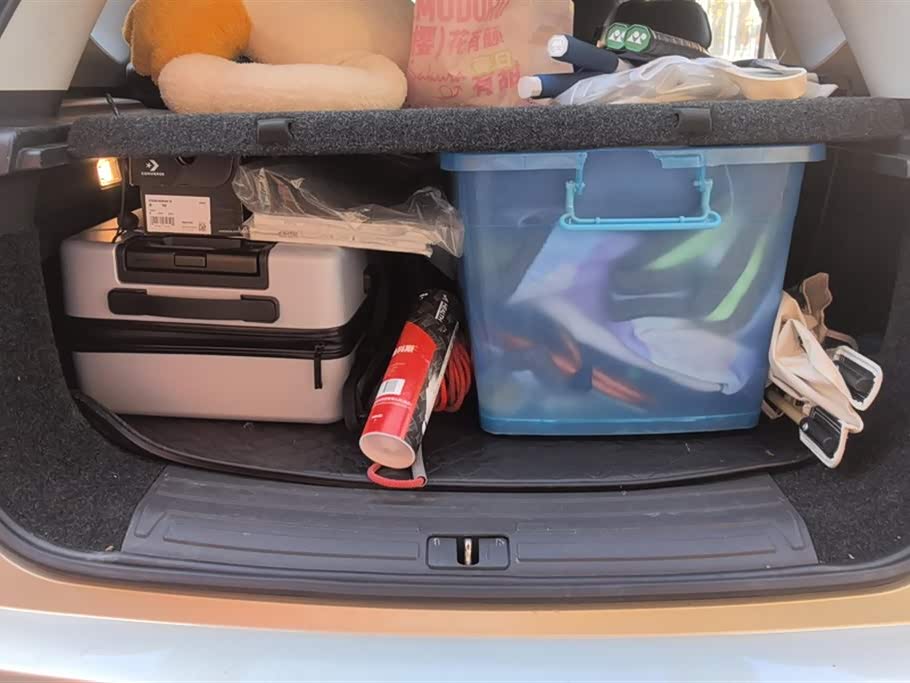 Roewe RX5 New energy